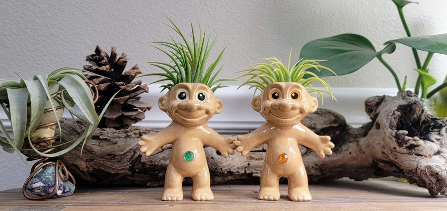 Treasure Troll Air Plant Holder